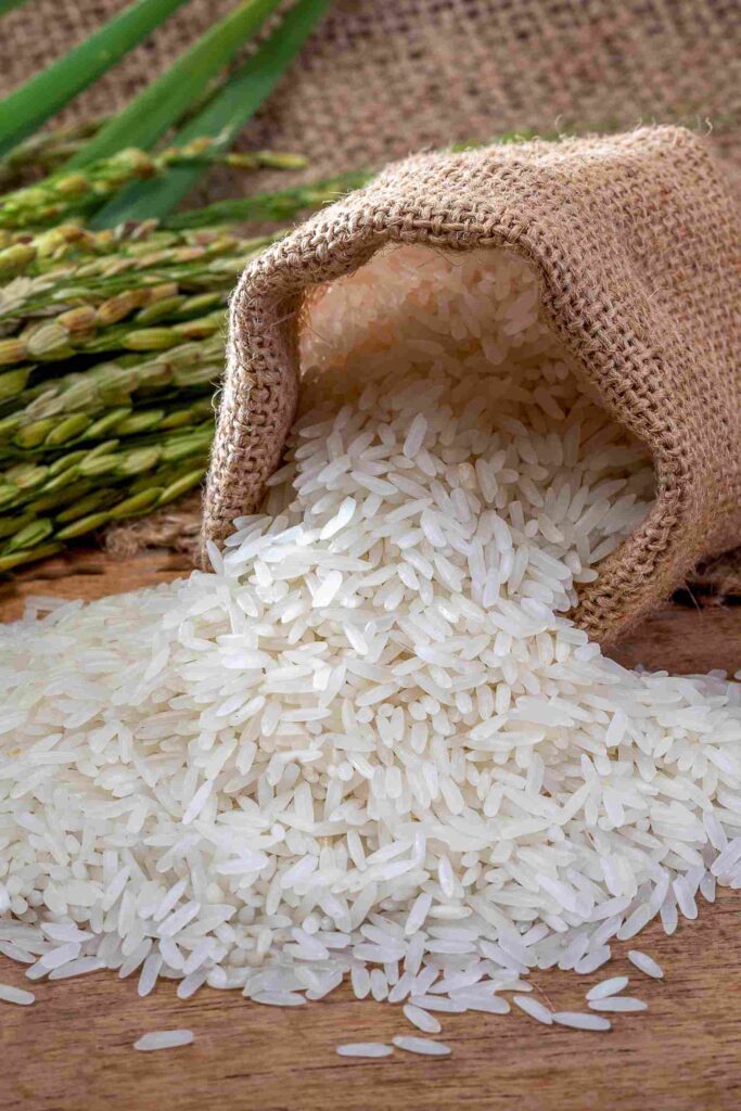 Рис “Жасмин”