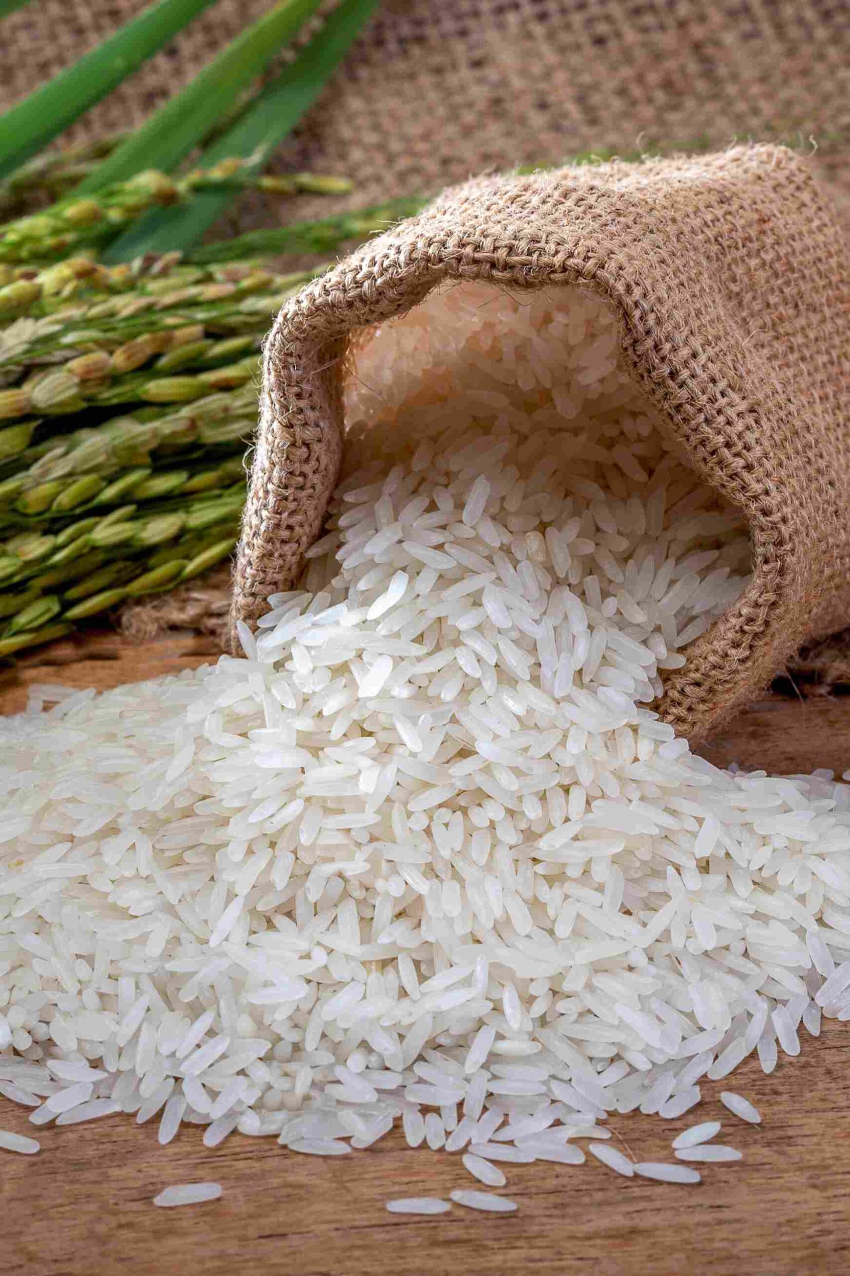 Рис “Жасмин”